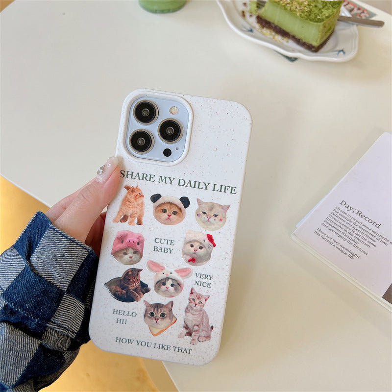 Kitten Collections Case